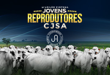 11º LEILÃO VIRTUAL JOVENS REPRODUTORES CJSA